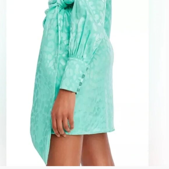 Andamane Carly Leopard-Print Wrap Mini Dress in Leopard Green‎ Size XS - Picture 4 of 11
